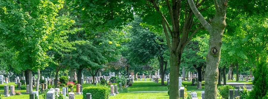 a cemetery shown with headstones and trees